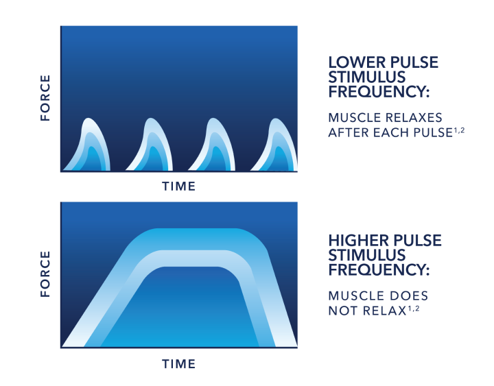 Frequency:<br>Muscle Response